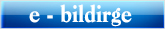 e-bildirge